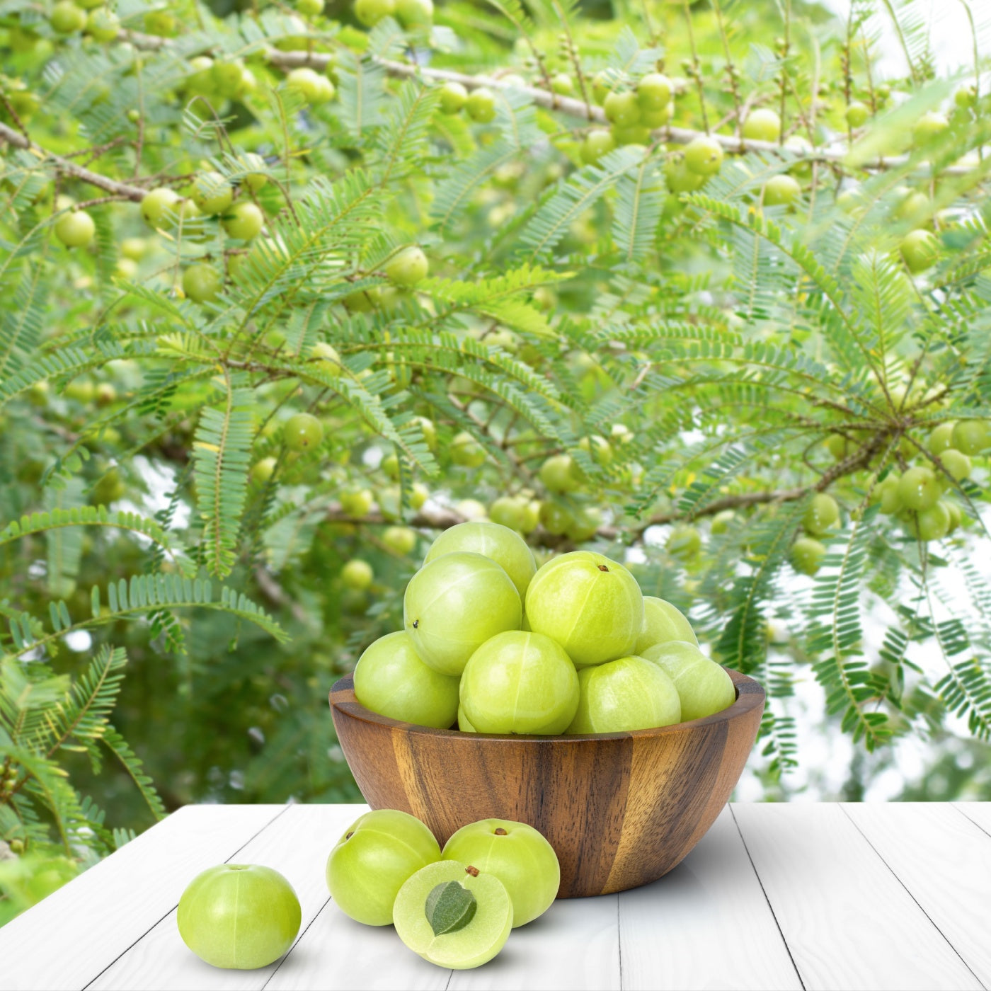 Indian gooseberry fruits or Amla Phyllanthus emblica) in wooden bowl isolated on white wood table.