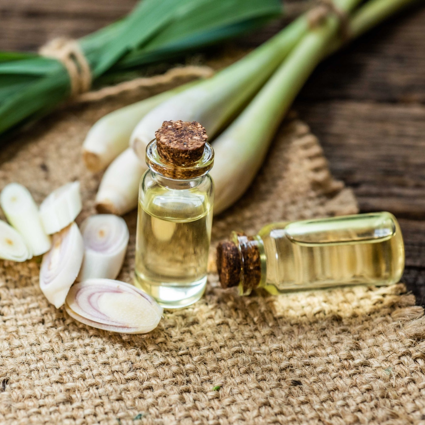 Lemongrass essential oil with plant. 