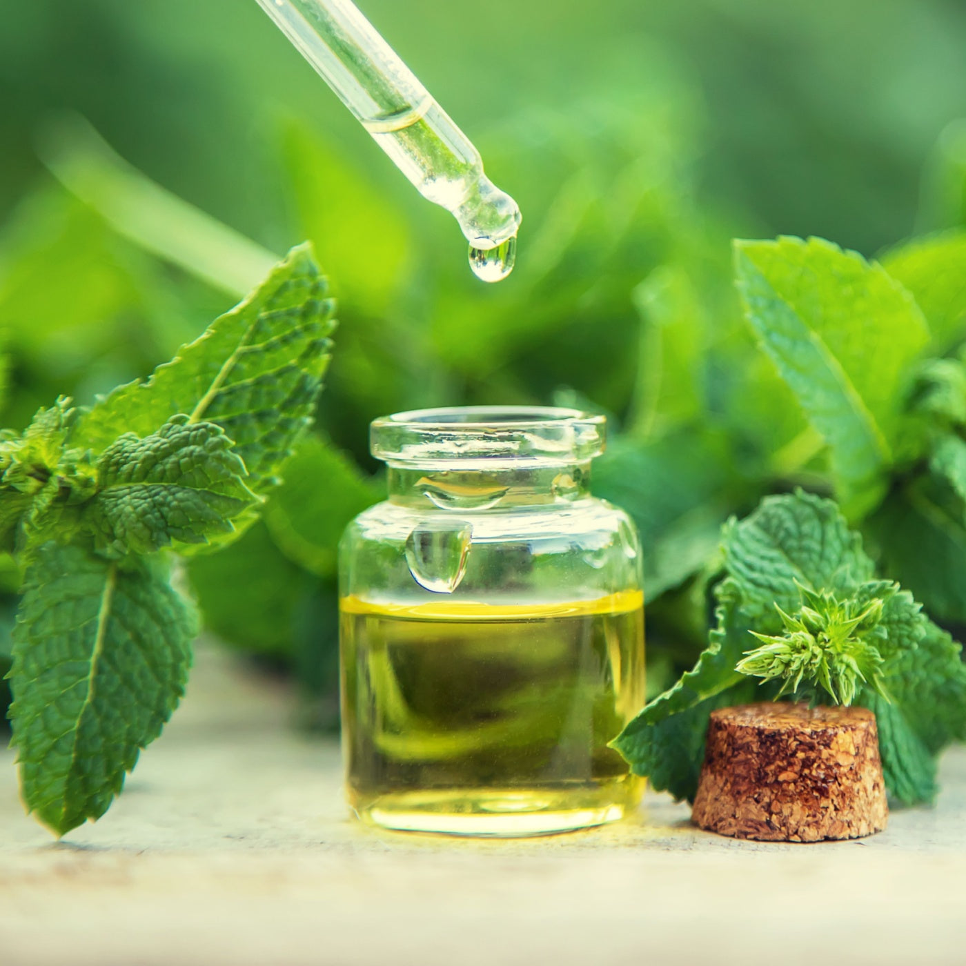 Peppermint essential oil in a small bottle. 