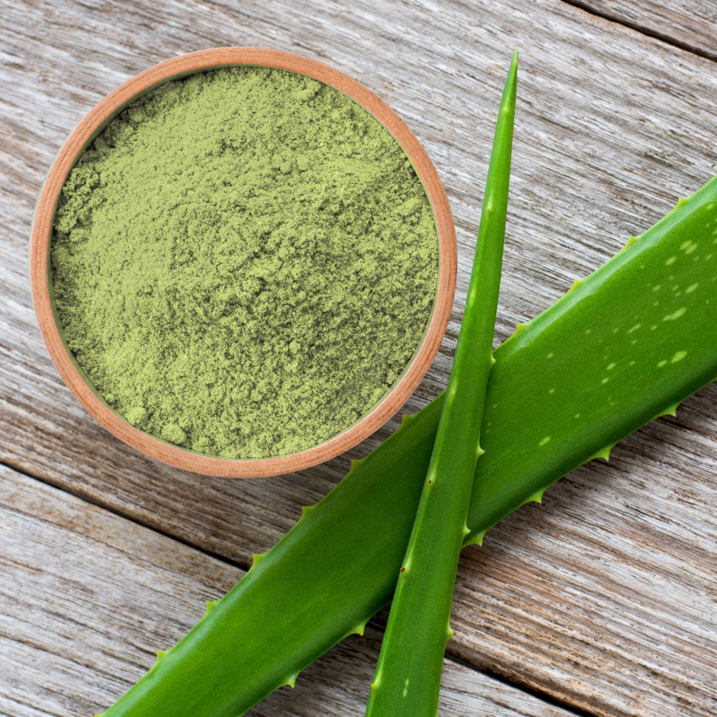 Aloe vera powder and fresh leaves.